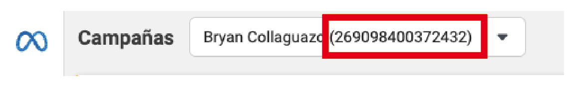 Descripción de la imagen